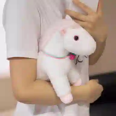 lionf 27cm