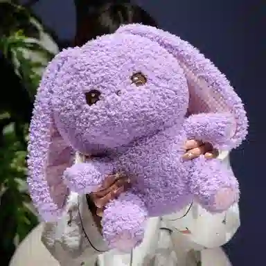 lionf 30cm