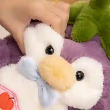 25cm40cm60cm