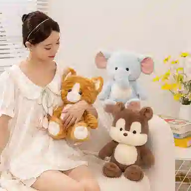 22cm30cm