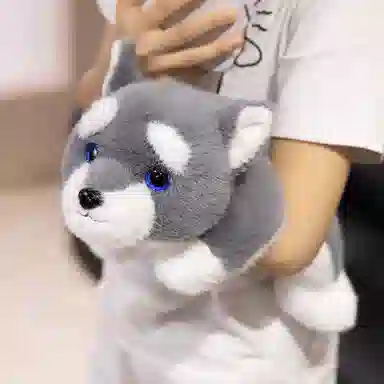 lionf 30cm40cm60cm