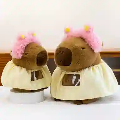lionf 22cm30cm