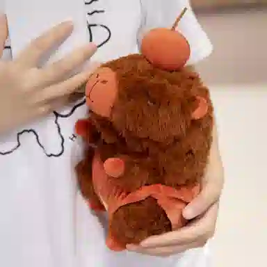 lionf 23cm