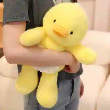 40cm50cm