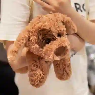 lionf 28cm37cm47cm