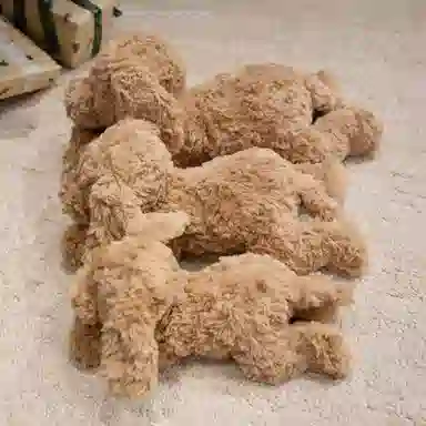 lionf 28cm37cm47cm