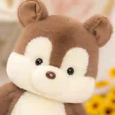 22cm30cm