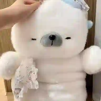 lionf 70cm