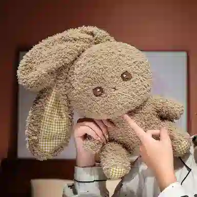lionf 30cm