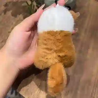 lionf 12cm