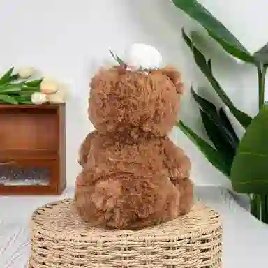 25cm