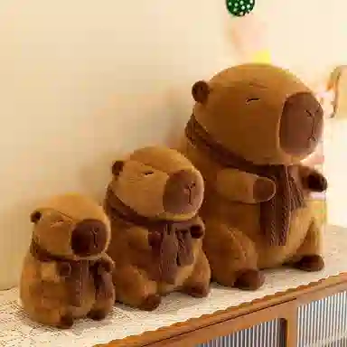 25cm35cm45cm