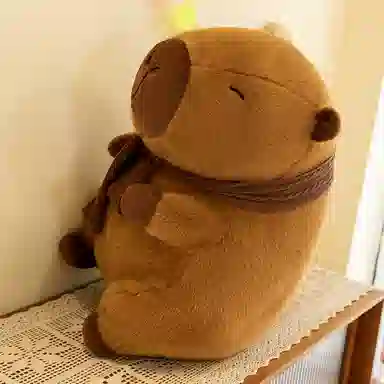 25cm35cm45cm