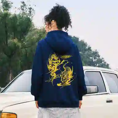 Avandi Dragon Tiger Hoodie