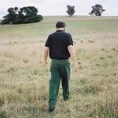 Polar Skate Co Big Boy Pants