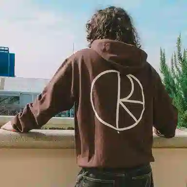 Polar Skate Co Hoodie Washed Black