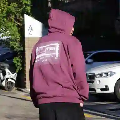 Polar Skate Co Hoodie