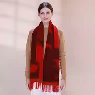 一米画纱 优雅保暖高级气质提花粗纺工艺加厚保暖高端轻奢优雅流苏 山羊绒 绒线围巾 女款