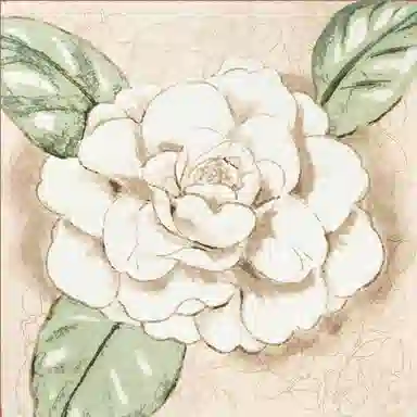 一米画纱 中式国风高雅山茶花系列斜纹中方巾双面西装领巾优雅 桑蚕丝 丝巾 女款