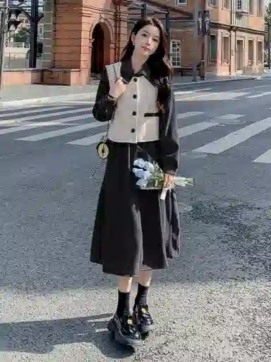 邦固依品 今年流行连衣裙女秋冬款美拉德穿搭马甲两件套遮肉显瘦裙子裙装套装 女款