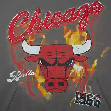 Mitchell Ness x NBA NEW VINTAGE