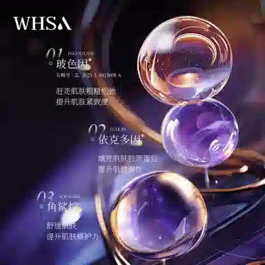 WHSA