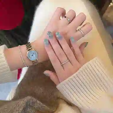 Daniel Wellington DW DW OPHELIA 25.5x22mm