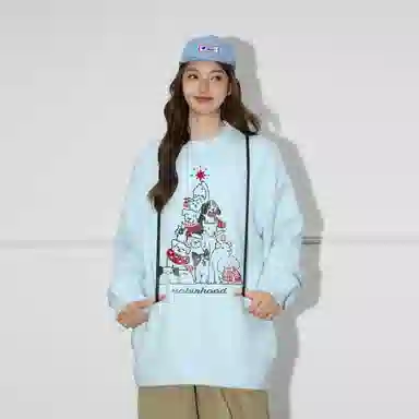 ROBINHOOD Cleanfit Sweater