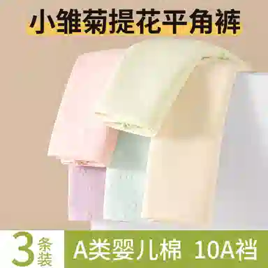 帕兰朵 无痕抗菌舒适平角内裤 女款