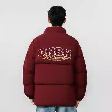 DNBH Logo
