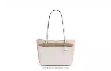 GUYI COACH Fiona 24 Tote