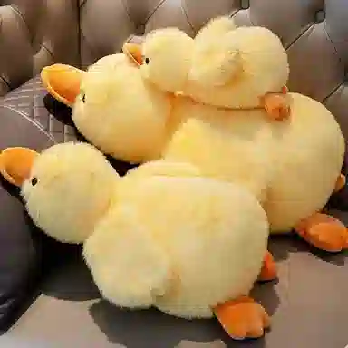 MORTEN SOLUM 30cm45cm