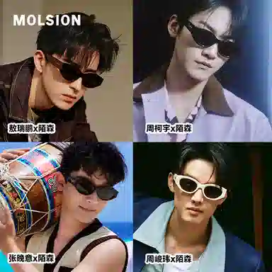 MOLSION