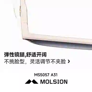 MOLSION