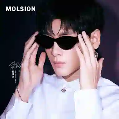 MOLSION