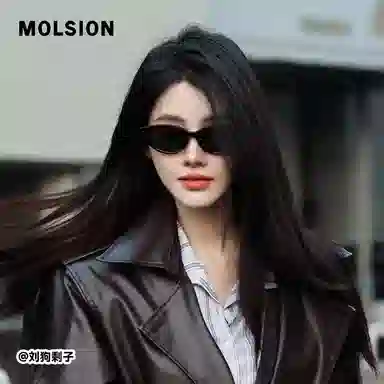 MOLSION