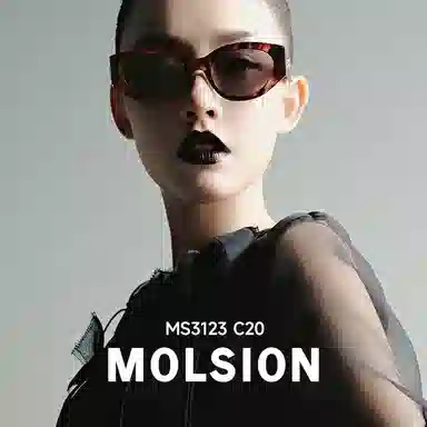 MOLSION