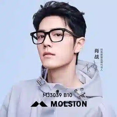 MOLSION