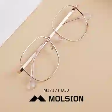 MOLSION
