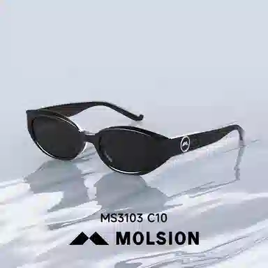 MOLSION