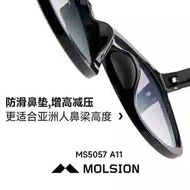 MOLSION
