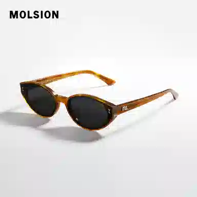 MOLSION
