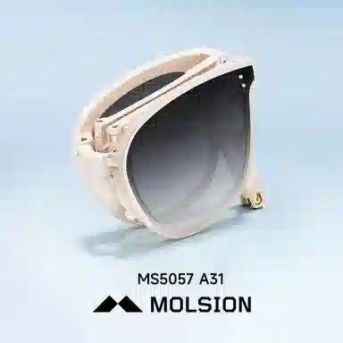 MOLSION
