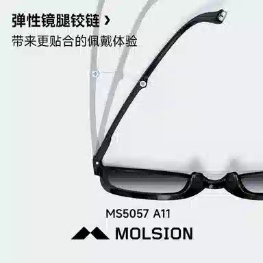 MOLSION