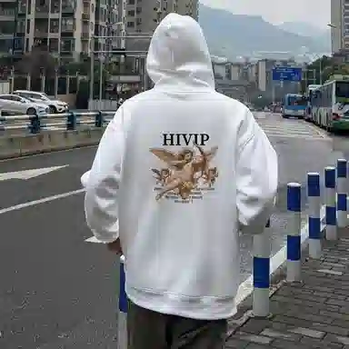 HiVIP LOGO