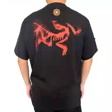 Arcteryx KRAGG SL LogoT