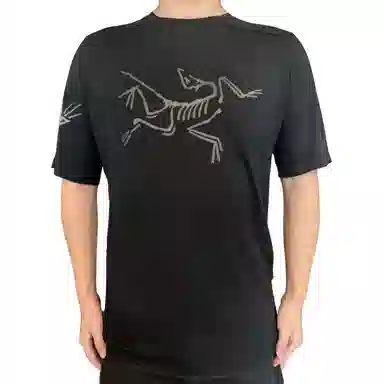 Arcteryx Ionia Merino Wool logoT