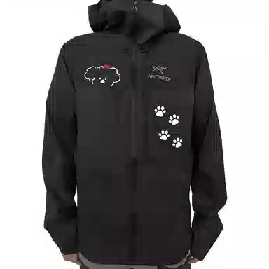 Arcteryx Squamish HoodyLogo