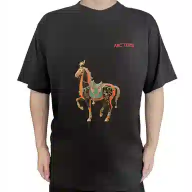 Arcteryx KRAGG SL LogoT