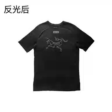 Arcteryx Ionia Merino Wool logoT